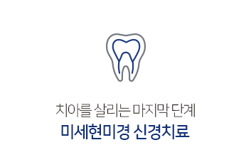 미세현미경 신경치료